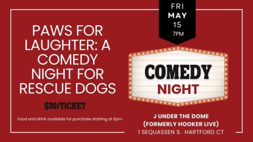 Comedy Night Benefitting Dog Star Rescue